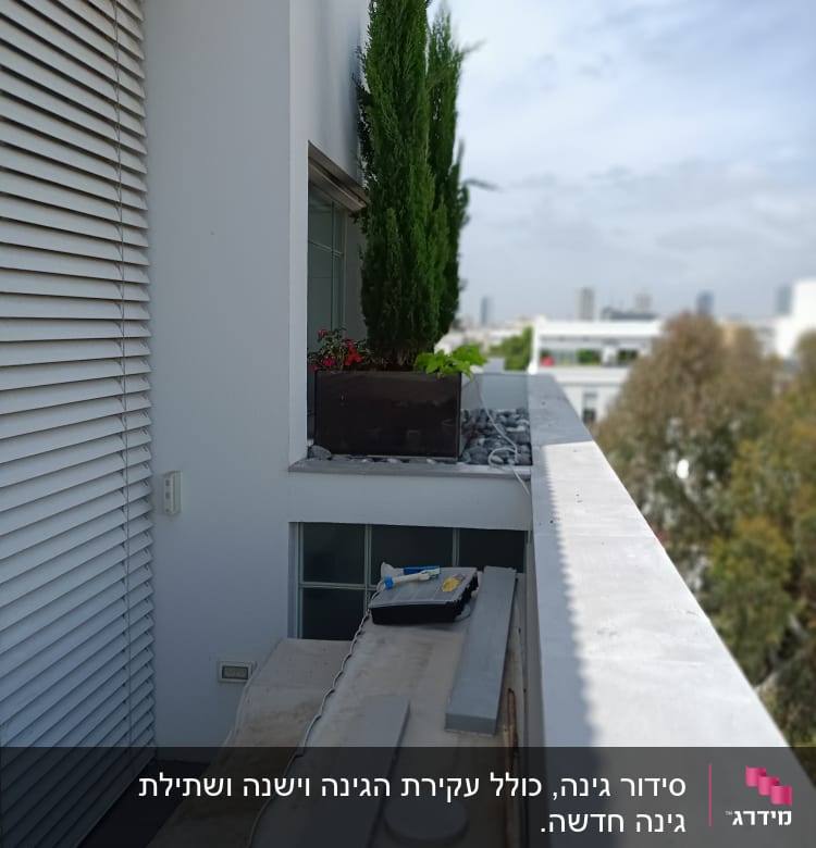עציץ עם עץ ירוק ופרחים על מרפסת